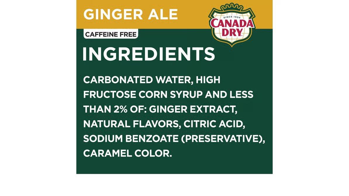 Canada Dry Ginger Ale (12 oz x 12 ct) - Image 4